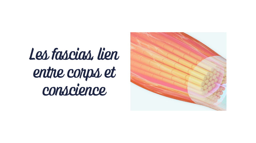 L’unité corps-esprit : quand la sophrologie rencontre la science du corps vivant